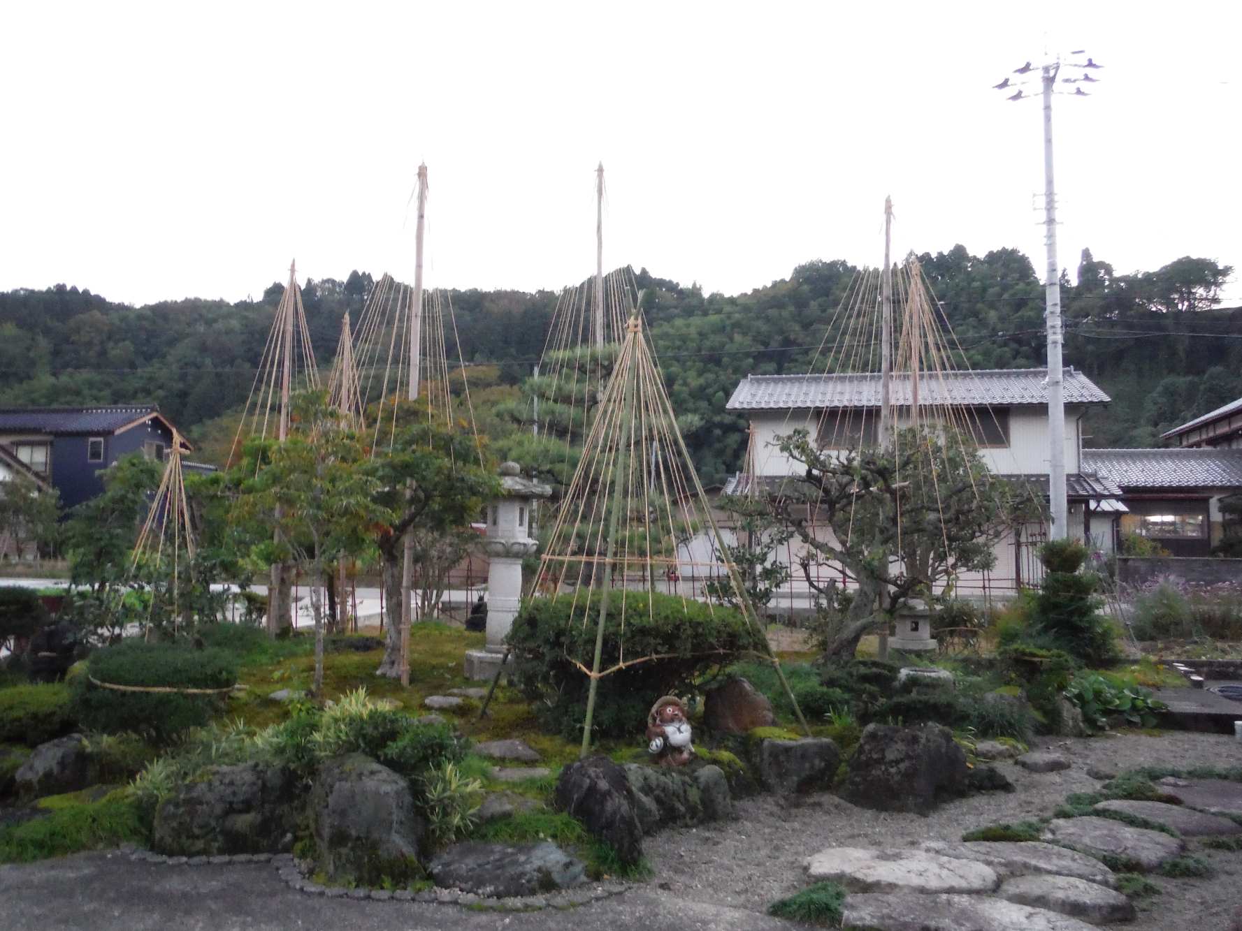 庭樹の伐採・伐根